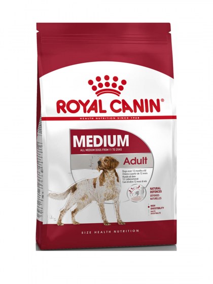 SHN MEDIUM ADULT_web9